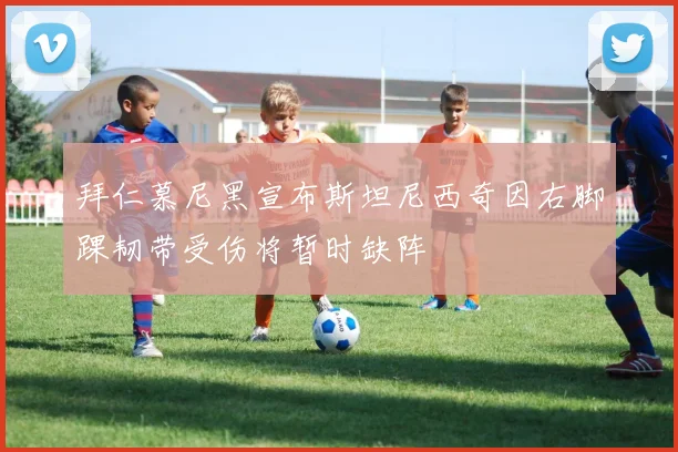 拜仁慕尼黑宣布斯坦尼西奇因右脚踝韧带受伤将暂时缺阵